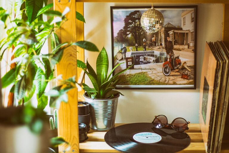 How to Refresh Your Home with Plants for a Lively Atmosphere